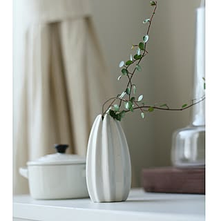 一輪挿し ワイヤープランツのインテリア実例 Roomclip ルームクリップ