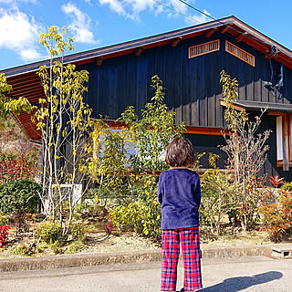 壁/天井/暮らし/お家/お庭/木の家...などのインテリア実例 - 2020-02-24 21:33:01