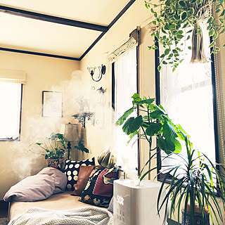 モダンデコ/ソファーまわり/冬支度/いいね&フォローありがとうございます♡/観葉植物...などのインテリア実例 - 2019-12-11 08:49:12