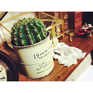 キンセイマルのインテリア実例 Roomclip ルームクリップ