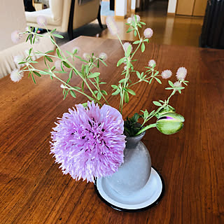 キャンドゥ花瓶のインテリア実例 Roomclip ルームクリップ キャンドゥ花瓶のインテリア実例 Roomclip ルームクリップ