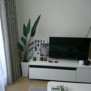 リビング/イッタラ kivi/セブンティツリーポスター/ストレチアレギネのインテリア実例 - 2017-12-07 15:13:42