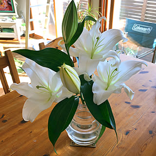 ユリの花のインテリア実例 Roomclip ルームクリップ ユリの花のインテリア実例 Roomclip ルームクリップ