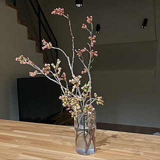 花瓶がないのインテリア実例 Roomclip ルームクリップ