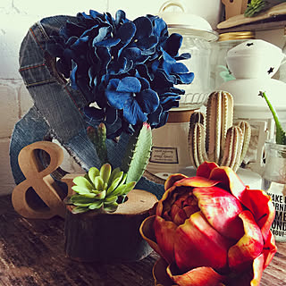 女性の、、家族住まいの「玄関/入り口」についてのインテリア実例