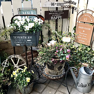 プレート/シクラメン鉢植え/ビオラ/お花のある暮らし/現場灰皿リメイク...などのインテリア実例 - 2020-01-23 16:54:23