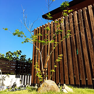 玄関 入り口 木の格子のインテリア実例 Roomclip ルームクリップ