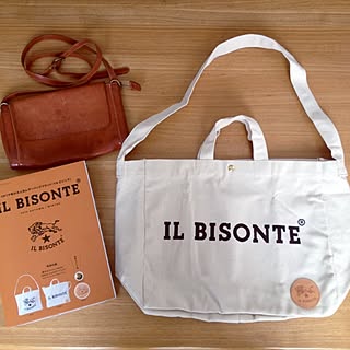 机/ムック本/イルビゾンテ/IL BISONTE/ショルダーバッグ...などのインテリア実例 - 2014-08-06 12:45:45