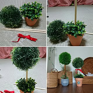 部屋全体/10分でできる/転写シート/グリーンボール/グリーンポット...などのインテリア実例 - 2017-02-09 23:11:41