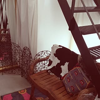 玄関/入り口/ベンチ/土間/キリム クッション/階段のインテリア実例 - 2012-10-03 09:41:05