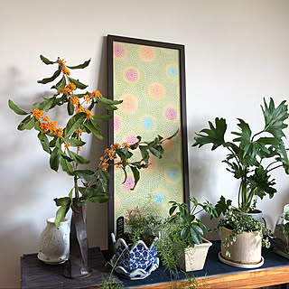 金木犀 花のある暮らしのインテリア実例 Roomclip ルームクリップ