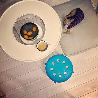 部屋全体/ゆで卵/ストーブガードデラックス/コロナ石油ストーブ/暖かい家...などのインテリア実例 - 2017-12-10 11:58:36
