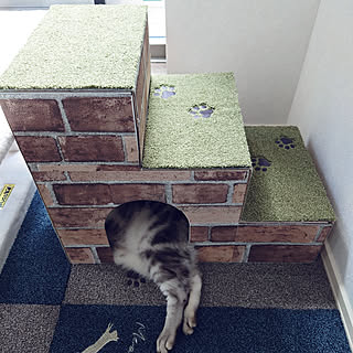 猫階段のインテリア実例 Roomclip ルームクリップ 猫階段のインテリア実例 Roomclip ルームクリップ