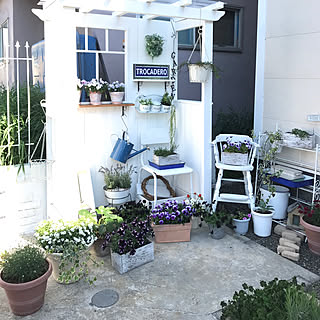 小さな花壇のインテリア実例 Roomclip ルームクリップ