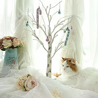 棚/シャビーシック/パステルカラー/フレンチカントリー/ロマンチックカントリー...などのインテリア実例 - 2019-09-02 16:14:00