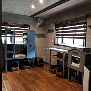 多頭飼い 猫ちゃん想いのインテリア実例 ｜ RoomClip（ルームクリップ）