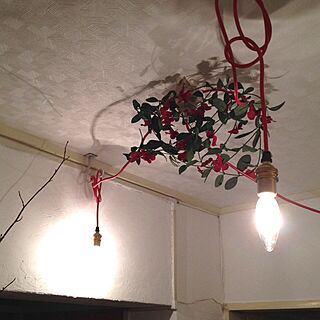 玄関/入り口/裸電球/フェイクグリーンぐるぐる巻き/カラーコード/クリスマスのイメージで...などのインテリア実例 - 2013-12-22 19:59:47