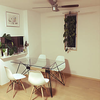 賃貸 吊るす植物のインテリア レイアウト実例 Roomclip ルームクリップ