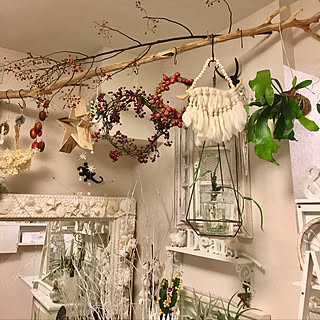部屋全体/アロマワックスバー/タコノマクラ/烏瓜/ビーチコーミングで集めた貝でミラー作る...などのインテリア実例 - 2017-12-15 11:55:23