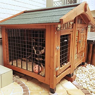 犬小屋 柴犬のインテリア実例 Roomclip ルームクリップ 犬小屋 柴犬のインテリア実例 Roomclip ルームクリップ
