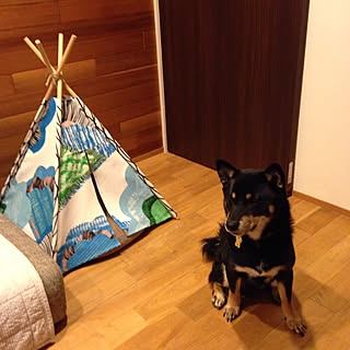 犬小屋 Ikeaファブリックでティピーテントのインテリア実例 Roomclip ルームクリップ