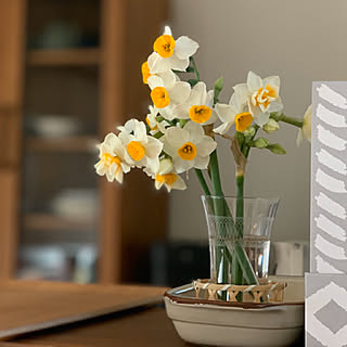 まぃまぃ堂/キッチン周り/キッチンカウンター/花のある風景/花のある生活...などのインテリア実例 - 2020-01-23 22:34:51