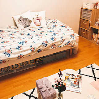 ベッド周り/一人暮らし/ニトリ/ひとり暮らし 1K/一人暮らし 賃貸...などのインテリア実例 - 2018-11-02 22:43:39