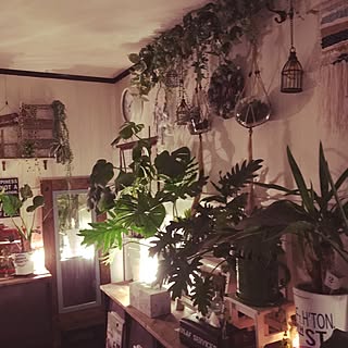 壁/天井/一人暮らし/いつもいいねやコメありがとうございます♡/いいね!押し逃げばかりでごめんなさい。/ダイソー...などのインテリア実例 - 2017-05-06 19:18:05
