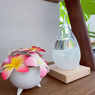 ハワイアン プルメリア造花のおしゃれなインテリア 部屋 家具の実例 Roomclip ルームクリップ