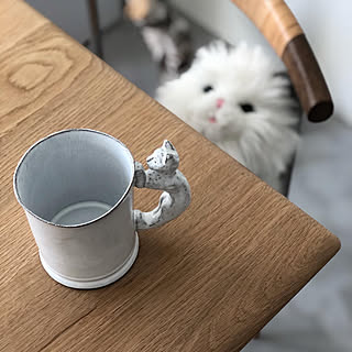 猫グッズ/インテリア/ホワイトインテリア/マンションリノベ/リノベーション...などのインテリア実例 - 2020-02-07 09:59:56