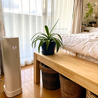 加湿器/植木鉢カバー/アガベ/乾燥対策/ナチュラルインテリア...などのインテリア実例 - 2020-01-05 09:11:33
