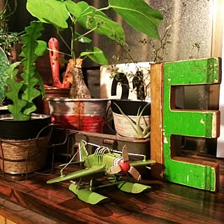 棚/NO GREEN NO LIFE/フィッシュボーンカクタス/ボンバックス/リメ缶...などのインテリア実例 - 2014-11-22 21:06:43