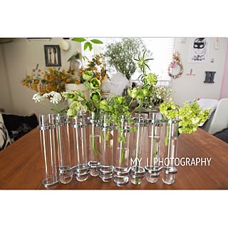 ツェツェ風のインテリア実例 Roomclip ルームクリップ