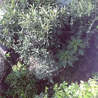 女性家族3LDKの、na-chanさんの実例写真
