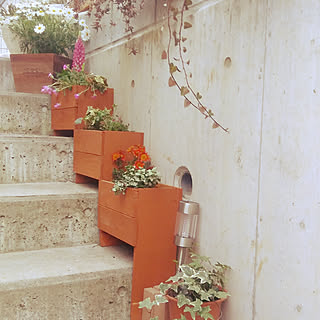 木のプランターdiyのインテリア 手作りの実例 Roomclip ルームクリップ