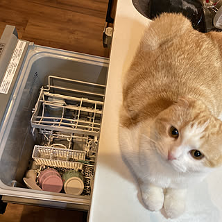 クリエモカ/食洗機/LIXILキッチン/暮らしを変えたもの/狭小住宅...などのインテリア実例 - 2020-02-22 08:38:02