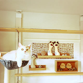 カインズホーム カインズ ディズニーののまとめページ 123ページ目 Roomclip ルームクリップ