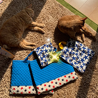 お稽古バック/手作り♪/新学期準備/ナチュラルが好き/RCの皆さまに感謝♡...などのインテリア実例 - 2020-02-25 03:34:00