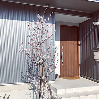 チタングレーのインテリア実例 Roomclip ルームクリップ