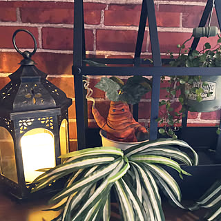 Harry Potter マンドレイク手作りのインテリア実例 Roomclip ルームクリップ