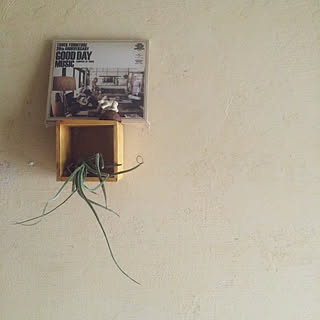 暮らし/truckfurniture/green/壁/天井のインテリア実例 - 2020-02-16 14:37:24