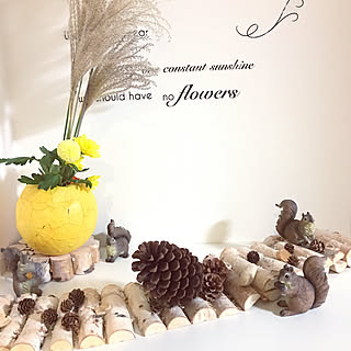 リス 松ぼっくりのインテリア実例 Roomclip ルームクリップ