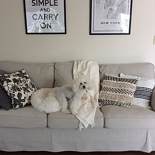 Ikea 犬用ベッドのインテリア実例 Roomclip ルームクリップ Ikea 犬用ベッドのインテリア実例 Roomclip ルームクリップ
