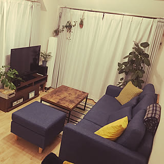 テーブルヤシのインテリア実例 Roomclip ルームクリップ