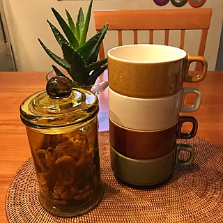 机/スタッキング出来るスープカップ/多肉植物/猫との暮らし/アクタス...などのインテリア実例 - 2017-02-26 17:47:50