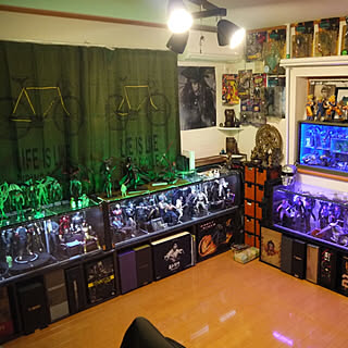 ガラスケース オタク部屋のインテリア実例 Roomclip ルームクリップ ガラスケース オタク部屋のインテリア実例 Roomclip ルームクリップ