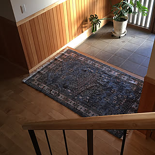 2019.2.24☀️/腰板/アイアン手摺/無垢の床/絨毯...などのインテリア実例 - 2020-02-24 17:04:38