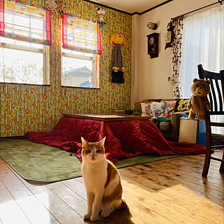 昭和レトロ カーテン手作りのおしゃれなインテリア・部屋・家具の実例 昭和レトロ カーテン手作りのおしゃれなインテリア・部屋・家具の実例