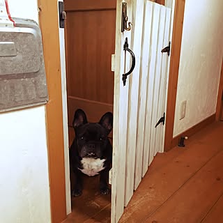 脱走犬wのインテリア実例 Roomclip ルームクリップ