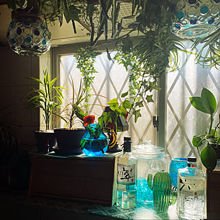 サボテンの花瓶のインテリア実例 Roomclip ルームクリップ